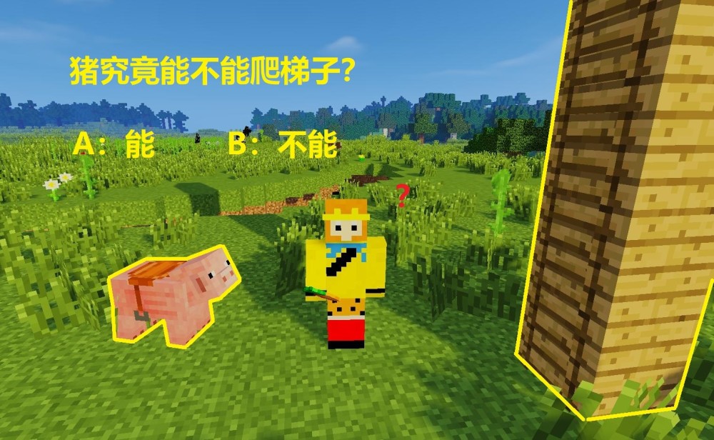 我的世界 玩家被误导的7件事煤块最耐烧水可以无限灌溉