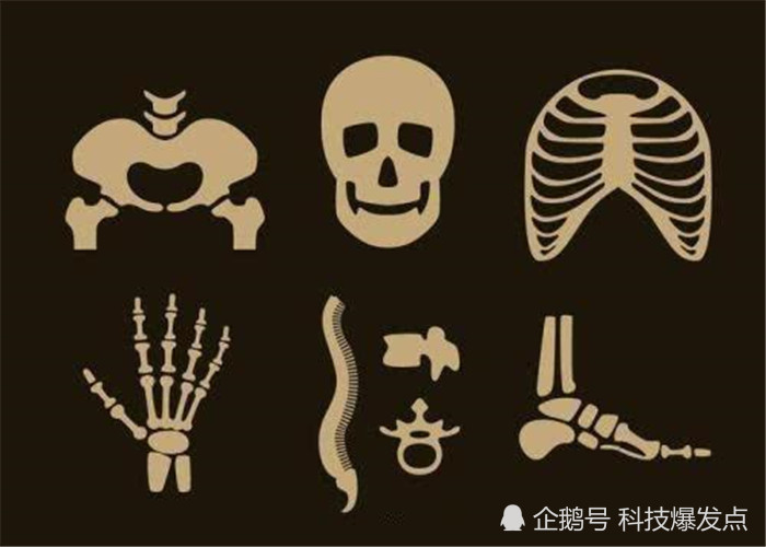 人类在百万年进化中消失的功能再次出现身体发生了突变