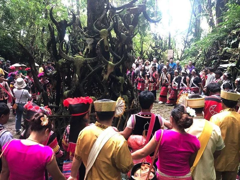 一天一点普洱(1550)十一黄金周祭拜龙魔