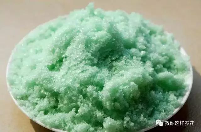 爆盆|老花匠的“秘方”，自制养花“黑水”，浇盆里1月就“爆盆”！