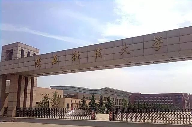 其實陝西科技大學前身是 西北輕工業學院,整體在咸陽市.