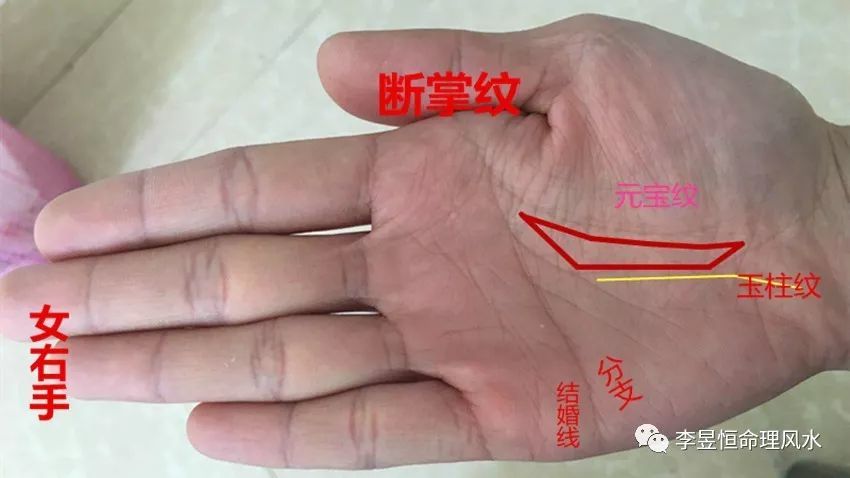 手相 龙虎相配 衣食无亏 掌骨突出 底气十足