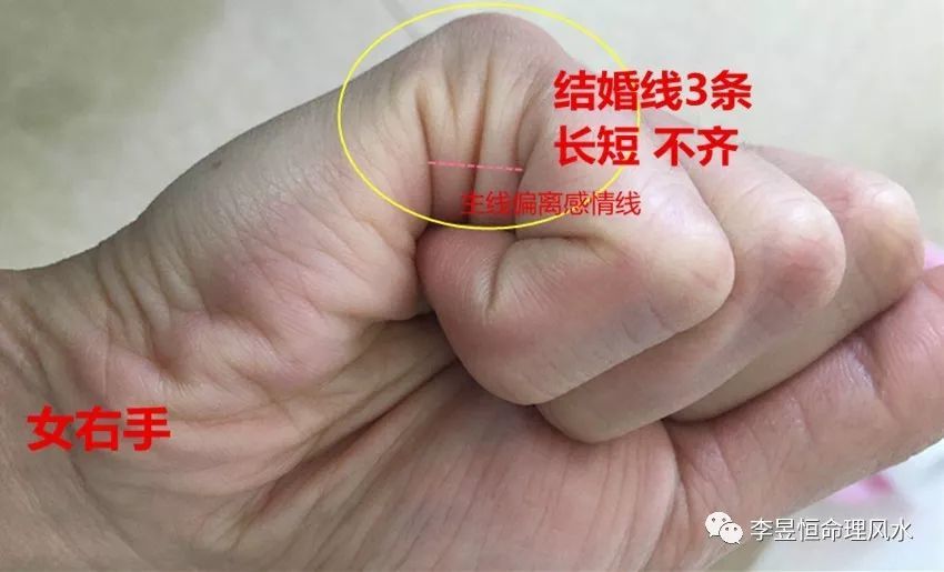 手相 龙虎相配 衣食无亏 掌骨突出 底气十足