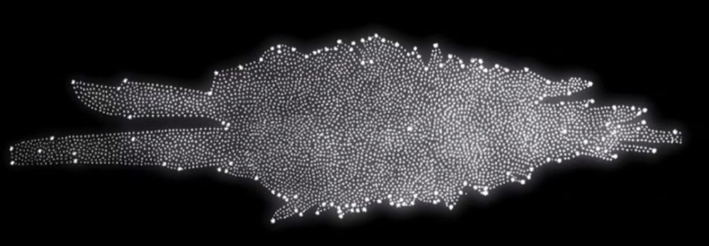 3!bbc纪录片神作《万物与虚无》