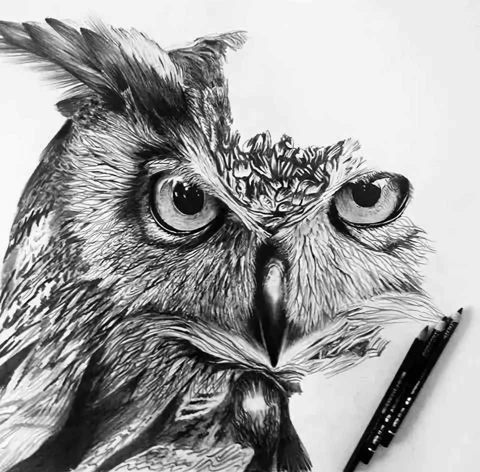 会画素描的人很多,但将素描画得这么出神入化的却很少