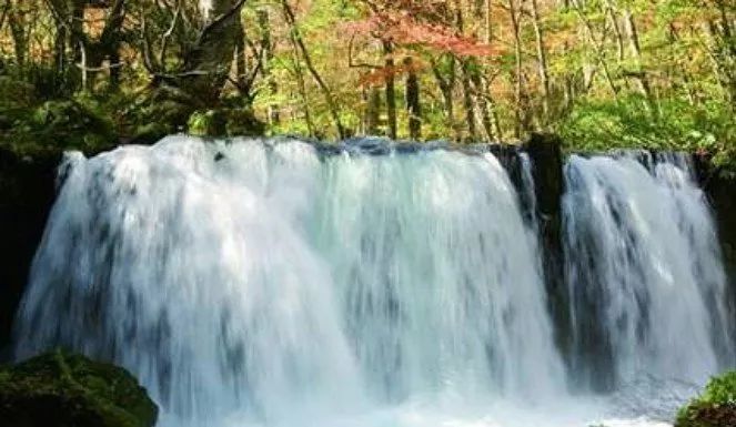 美到忘了呼吸 东北三县青森 秋田 岩手雪国限定秋冬美景