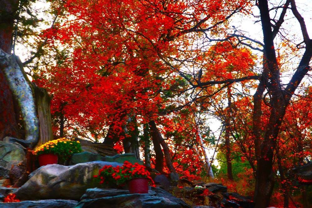 3,北京香山