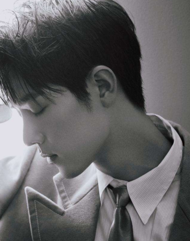 但是看到侧颜的几乎非常少,尤其是这几位顶尖的大帅哥