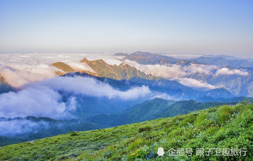 秦嶺最美的自然風光猶如宮崎駿的動漫彷彿置身於雲端之上