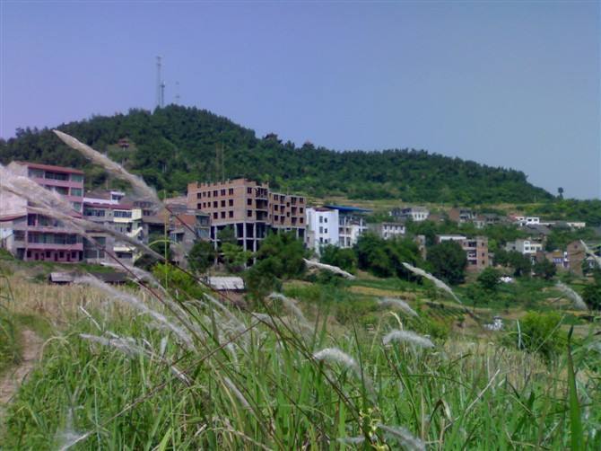 天子村位于四川省广安市武胜县清平镇,面积有3000多亩,有600余名村民.