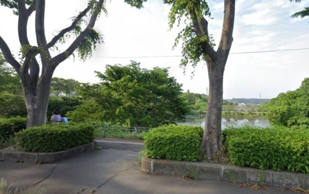 日本再发现白骨化遗体 这次是在公园水池中 性别未明