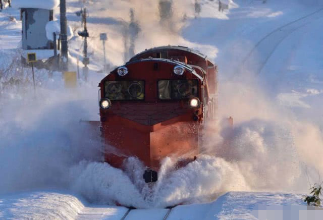 网友表示日本北海道只有雪和温泉 看完本文后大呼 这怎么可能