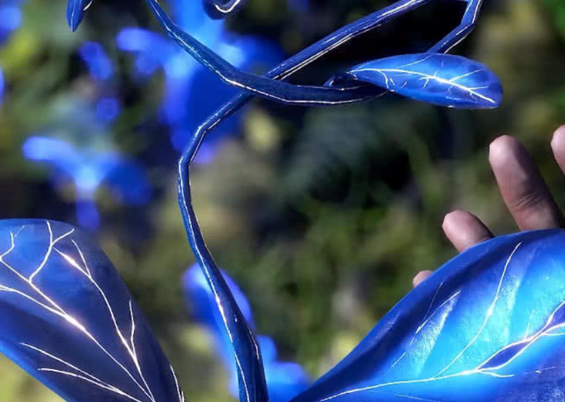 蓝银草"万年体"已够美,当瞧见"觉醒后"模样,玉小刚迷茫了!