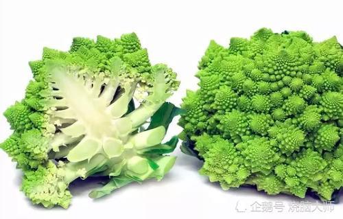 罗马花椰菜与数学的丝丝缕缕 自相似性非常奇妙 你发现了吗