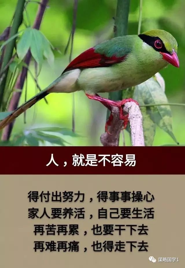 人都不容易,再苦再累也要干下去