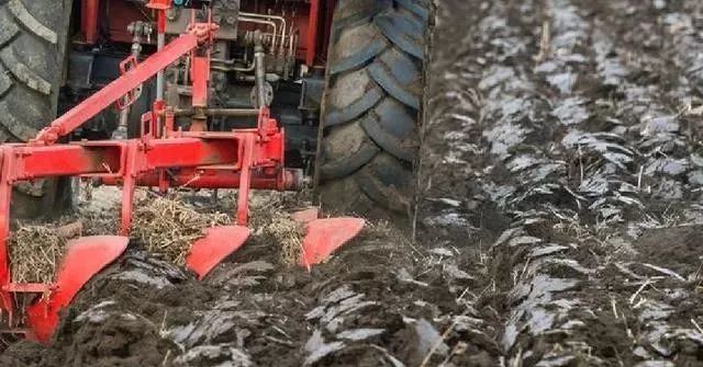 农民|提个醒！小麦播种时，这八大错误，很多农民都会犯