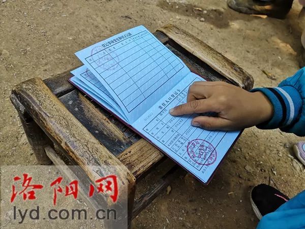 4口之家3人没户口 洛阳民警自掏腰包帮做亲子鉴定