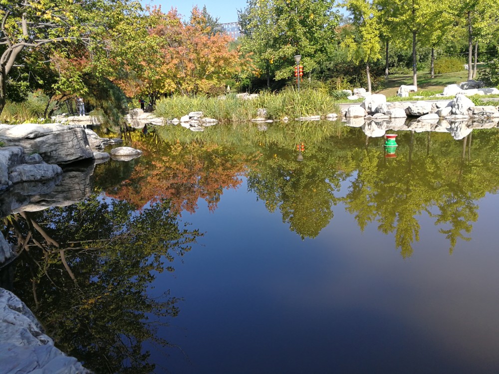 國慶北京望京公園不僅碩果累累,更是秋水共長天一色