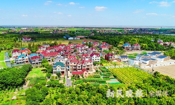 宝山罗泾镇塘湾村:农民住宅从草房演变到洋房