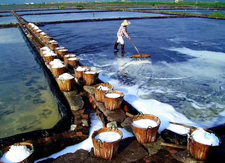 降血压|【科普】德国营养专家：减少吃盐，既不降血压、又不延长寿命