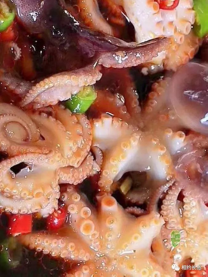 揭秘长岛 八蛸 乌贼的墨汁究竟能不能吃