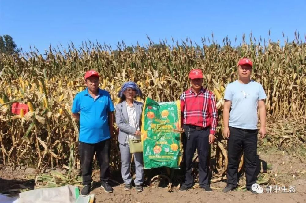 宋文丽:卖种子的老板一年卖肥近千吨