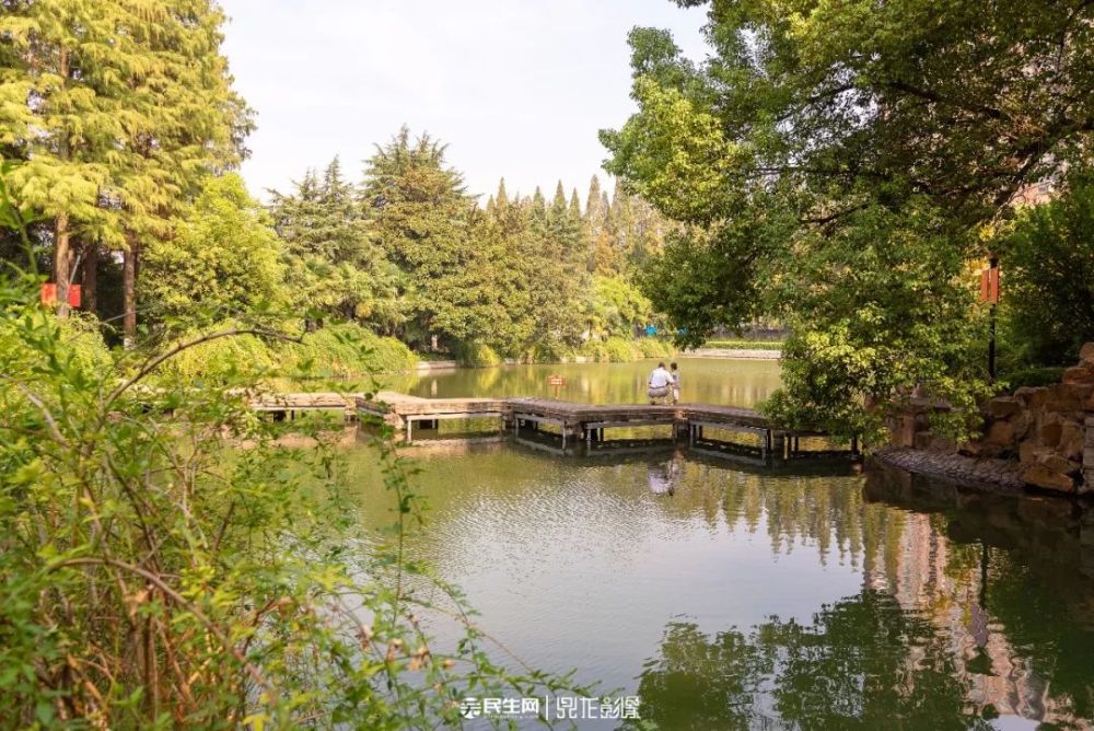 穿越皖江明珠,邂逅最美芜湖九莲塘公园