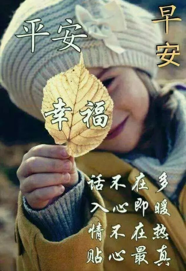 特漂亮的早上好鲜花带字祝福语图片温馨的早安动态图片