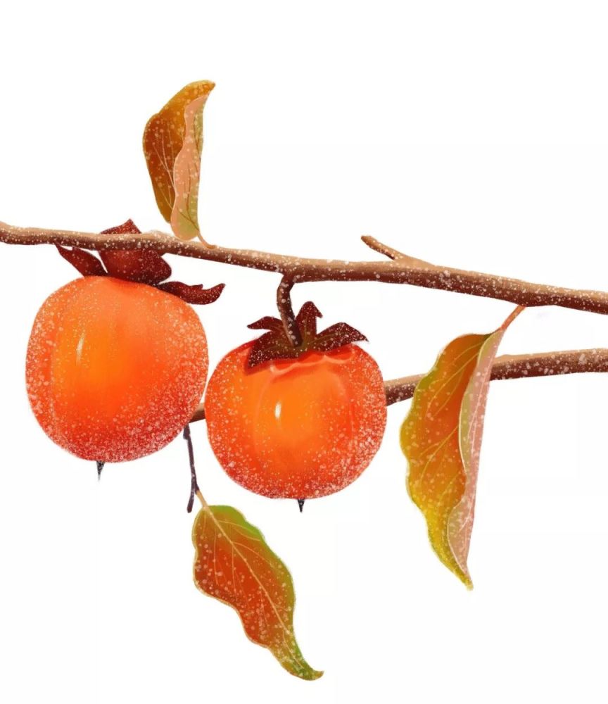 秋|听说，秋天是遗憾最多的季节