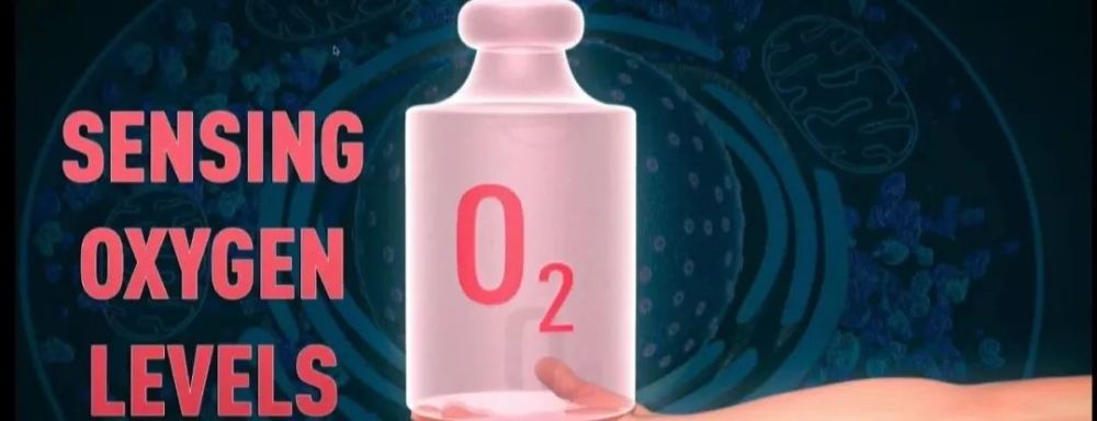 丙肝|详解2020诺贝尔医学奖：他们让丙肝可治愈，挽救数百万生命