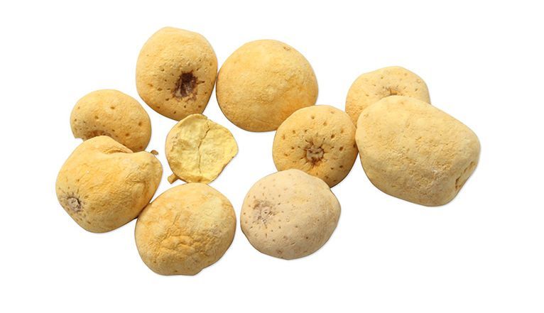 每日一味中药半夏