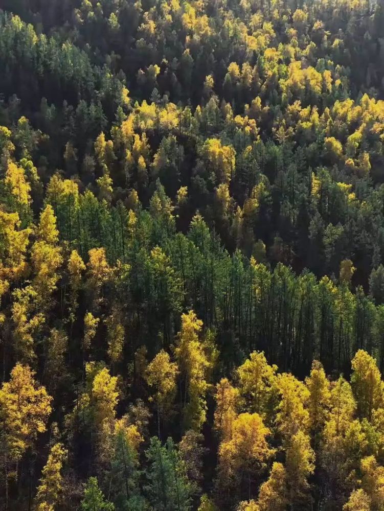 还来不及旅行秋天就快结束了?没事,点击