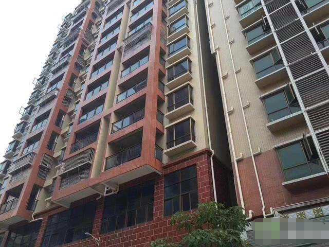 深圳统建楼：村委改造新风尚