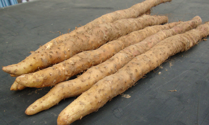 香甜好吃的山药,皮薄肉厚,细化嫩肉,丝毫不腻口