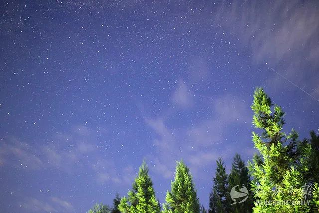 越野跑選手在摩圍山的森林裡角逐 這裡更有 浩瀚無垠的星空 讓