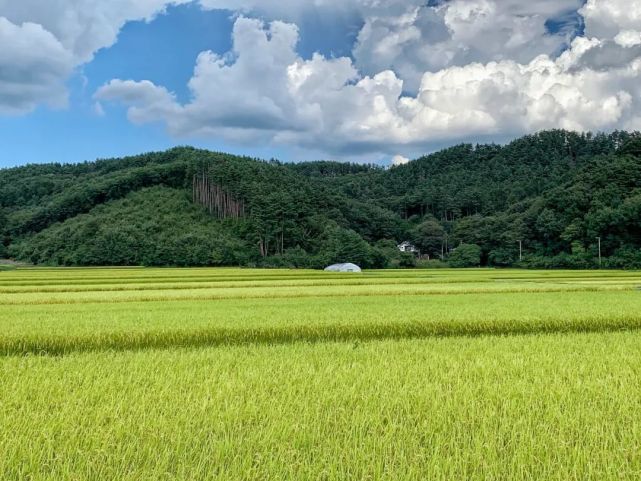 腾讯内容开放平台