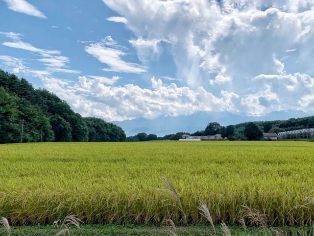 腾讯内容开放平台