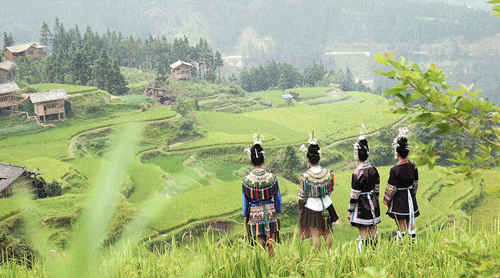 而说起这个意外的走红,还要从盖宝村第一书记吴玉圣说起.