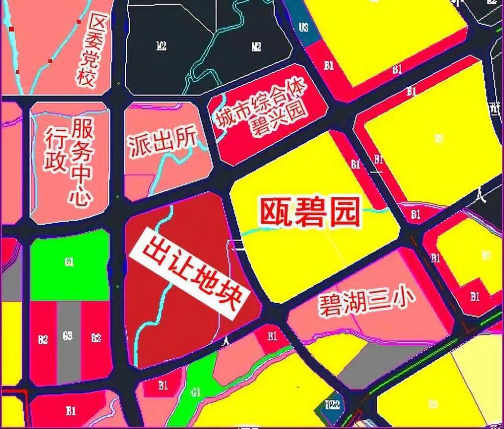 上午成功出让超百亩土地!丽水这里即将迎来大发展