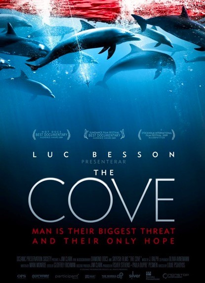 2009年一部名为《海豚湾》(the cove)的纪录片问世,影片一经上映引起