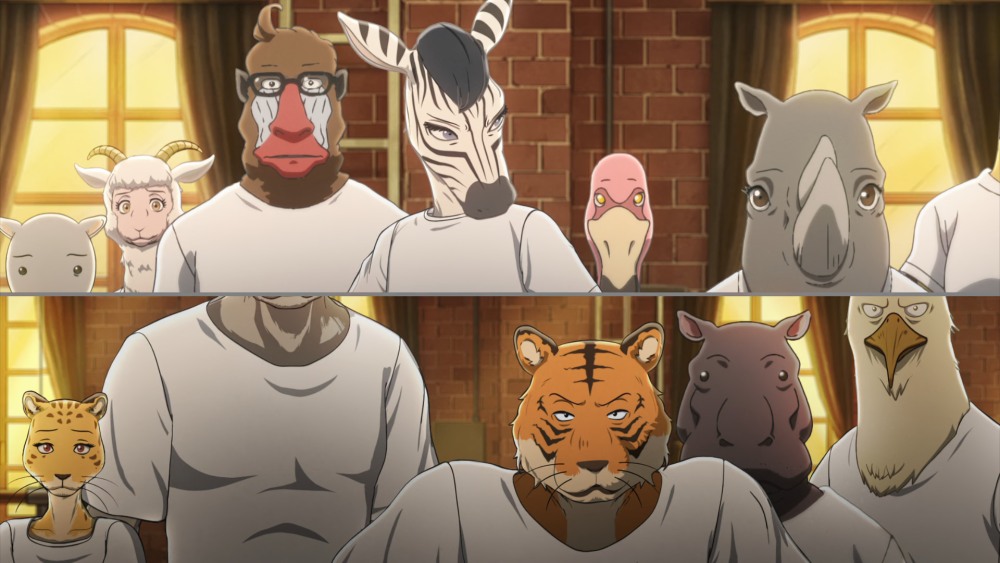 新番动漫版动物世界 肉食草食共同生活 主角大灰狼和兔子结缘