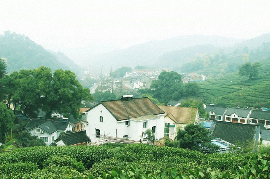 梅家塢是個茶文化古村落,亮點是大片大片的茶園,有十里梅塢之稱!