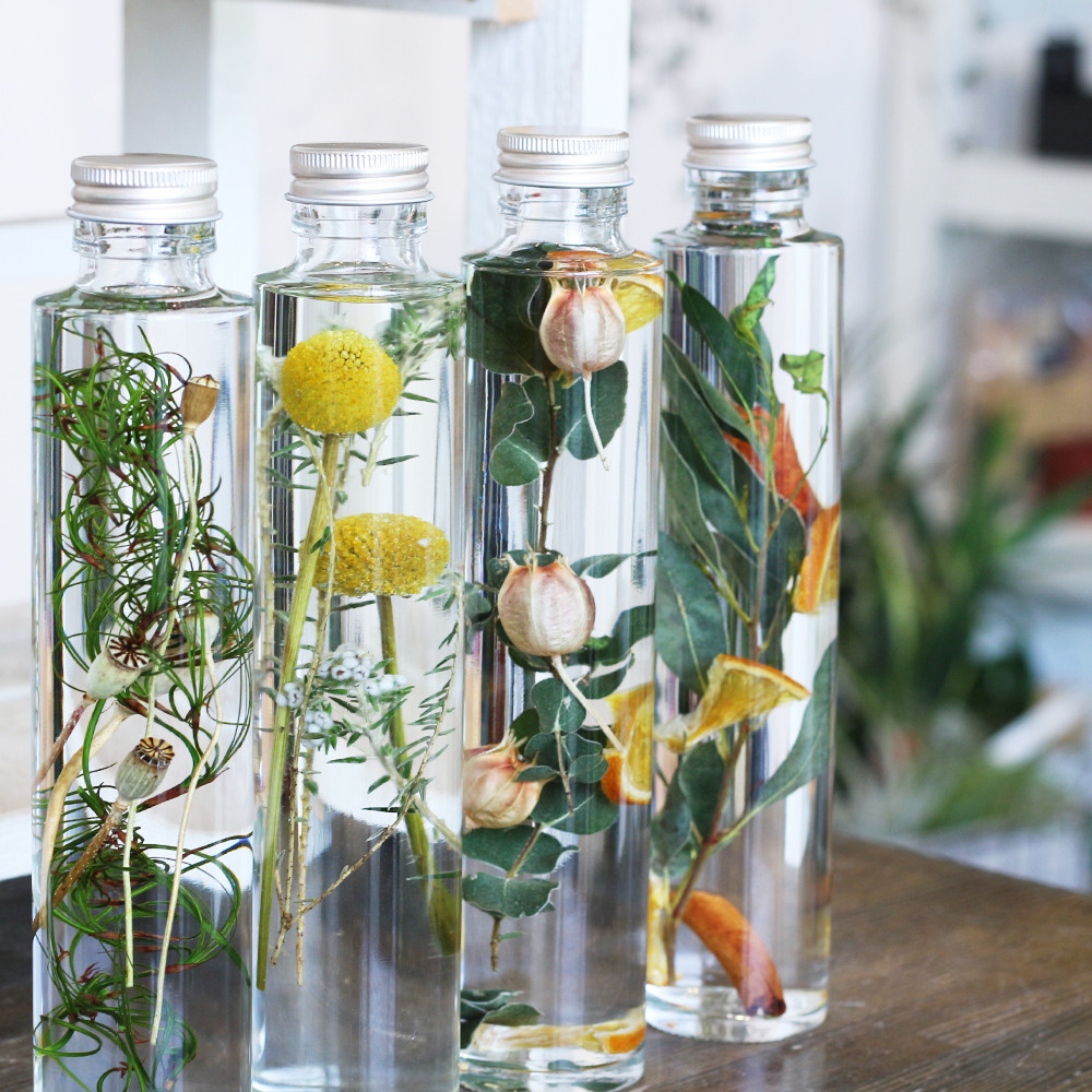 浮游花植物标本 另一种赏花方式 腾讯新闻