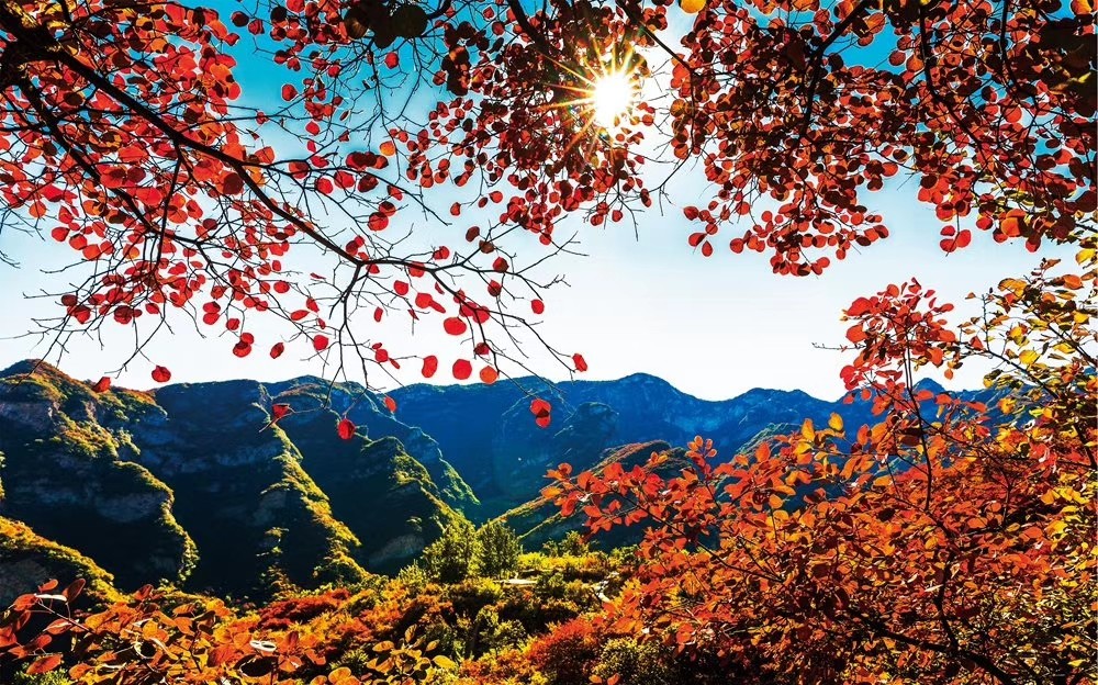 来房山 赏华北最壮观的山地红叶景观