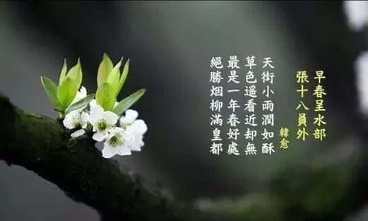 经典古诗词500首,简直就是诗词中的图书馆