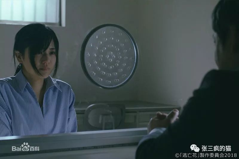 逃亡花 苍井空最新力作