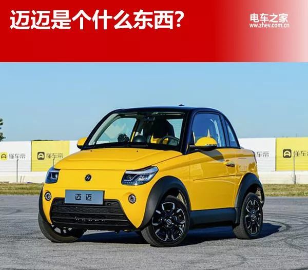 迈迈是个什么东西