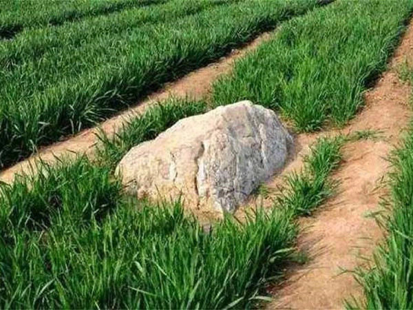 世界最矮的山:一块60公分高的石头,专家却坚称是座山