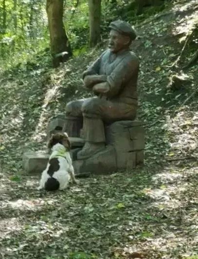 傻汪用眼神求 路人 陪玩 惨遭无视后气呼呼 腾讯新闻