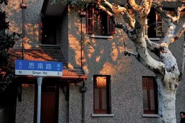 一秒坠入童话世界!畅游思南路,流连黄浦的"金色浪漫"里!